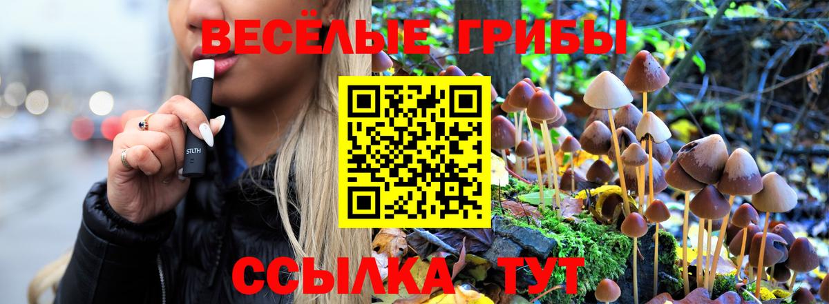 Бугульма  Псилоцибиновые грибы GOLDEN TEACHER  Вход с VPN  Псилоцибиновые грибы прущие грибы 